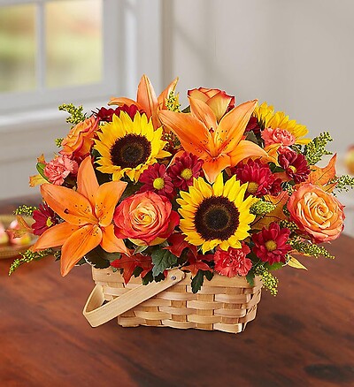 Fields of Europe&amp;trade; for Fall Basket